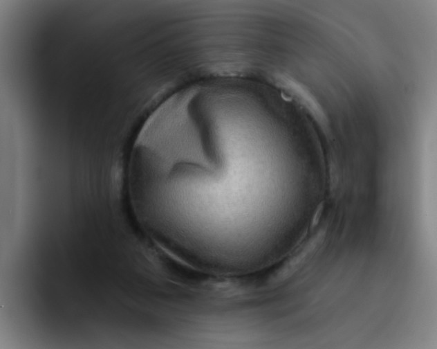 X0000091910113200709261723