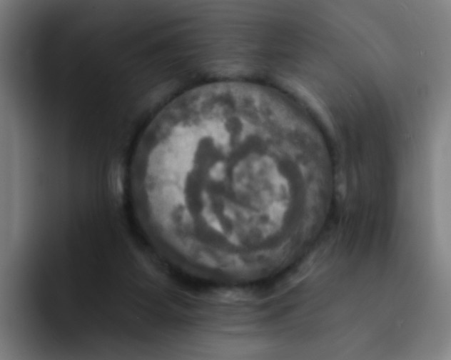 X0000091910115200709261723