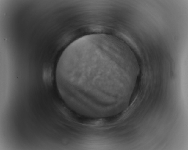 X0000091910116200709261723