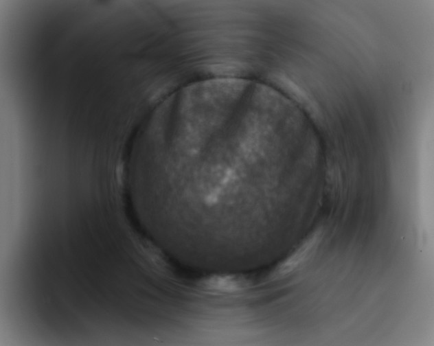 X0000091910117200709261723