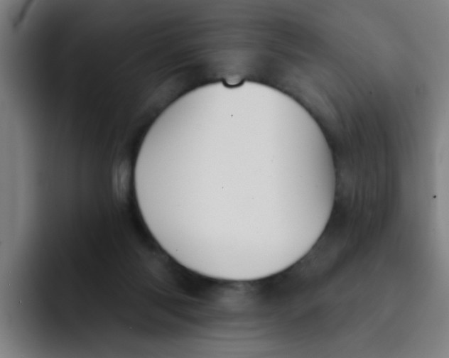 X0000091910118200709261723