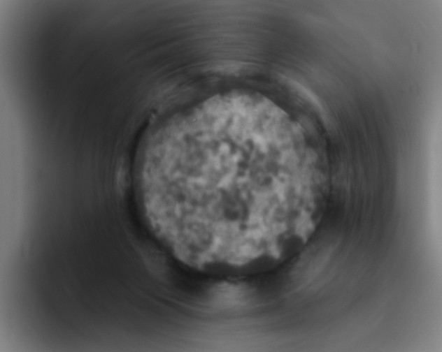 X0000091910119200709261723