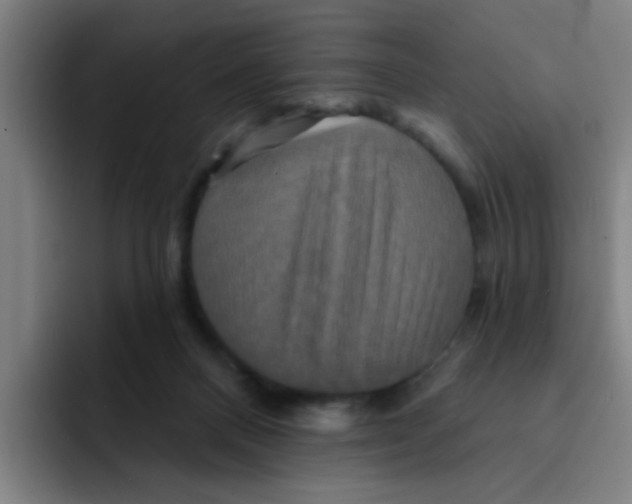 X0000091910120200709261723