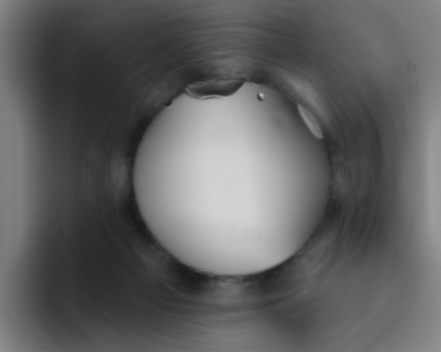 X0000091910121200709261723