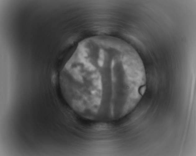 X0000091910123200709261723