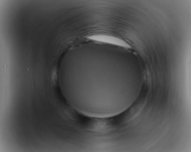 X0000091910127200709261723