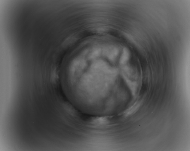 X0000091910140200709261722