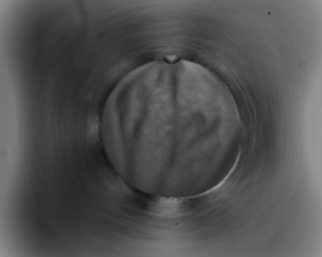 X0000091910144200709261722