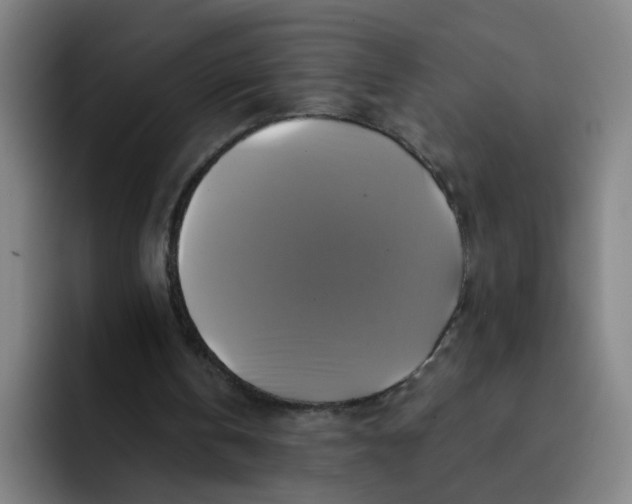 X0000091910146200709261722