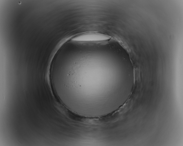 X0000091910147200709261722