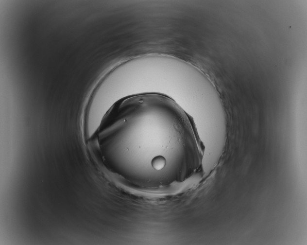 X0000091910148200709261722