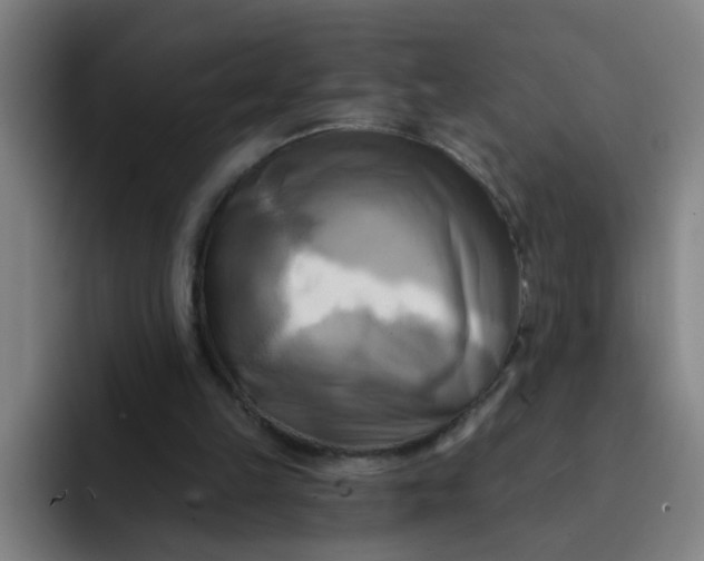 X0000091910149200709261722