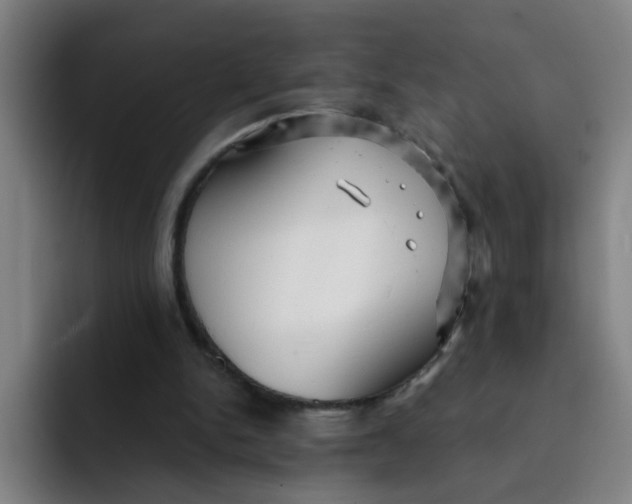 X0000091910150200709261722