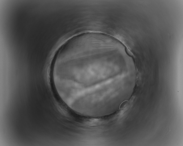 X0000091910151200709261722