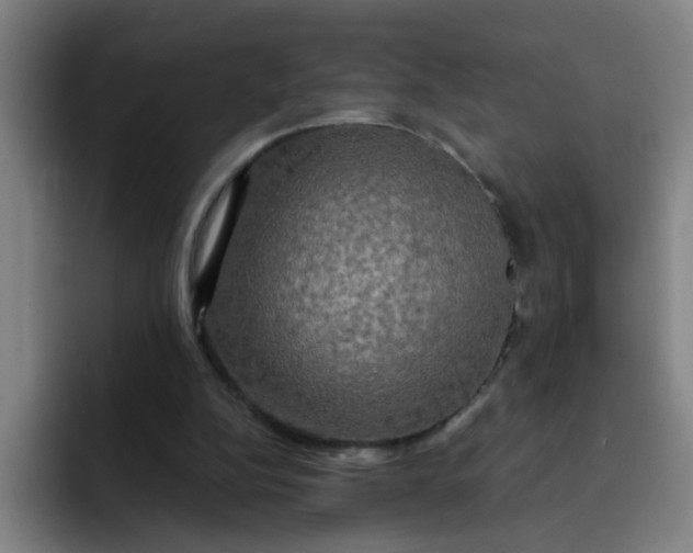 X0000091910152200709261722