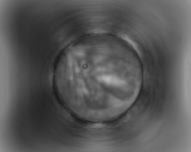 X0000091910153200709261722