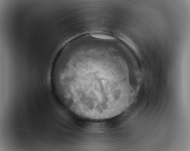 X0000091910155200709261722