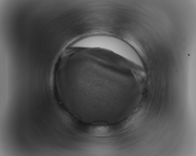 X0000091910156200709261722