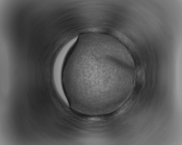 X0000091910158200709261722