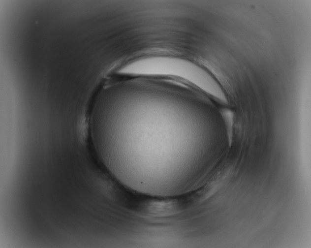 X0000091910160200709261722