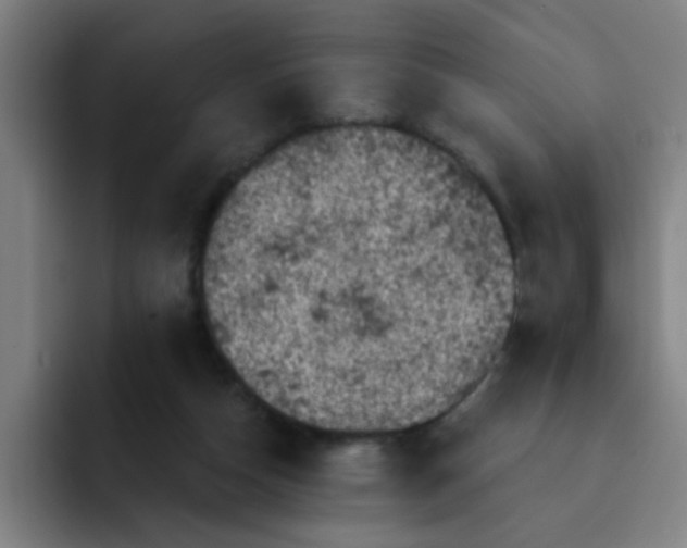 X0000091910162200709261722