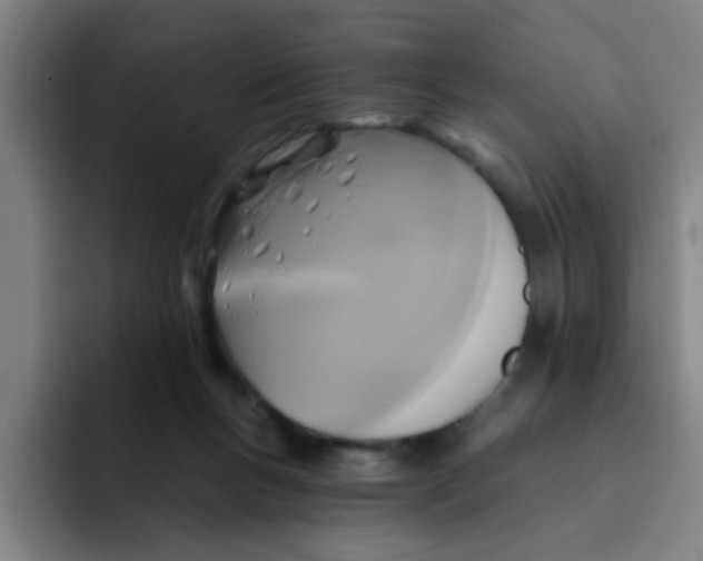 X0000091910167200709261722