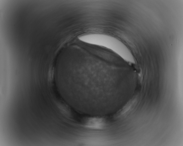 X0000091910168200709261722