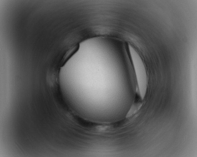 X0000091910172200709261722