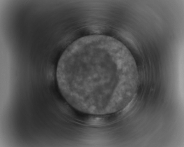 X0000091910174200709261722