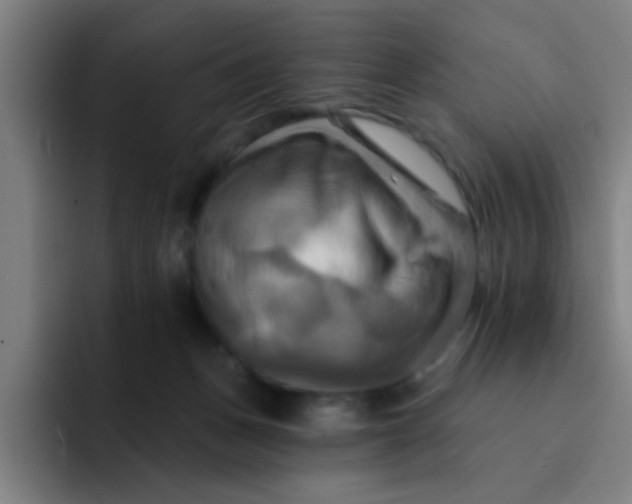 X0000091910175200709261722