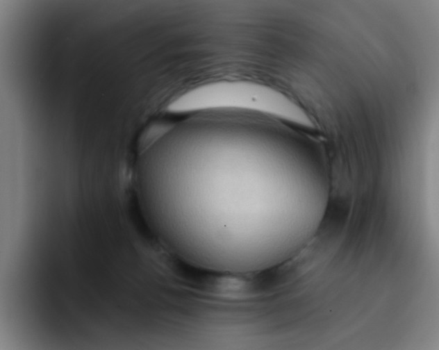 X0000091910176200709261722