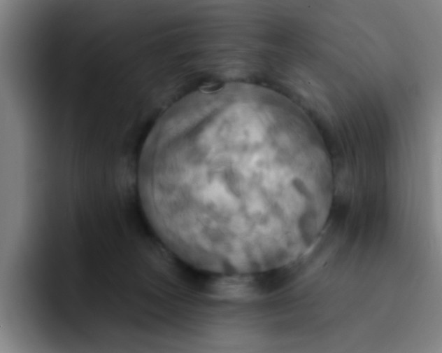 X0000091910179200709261722