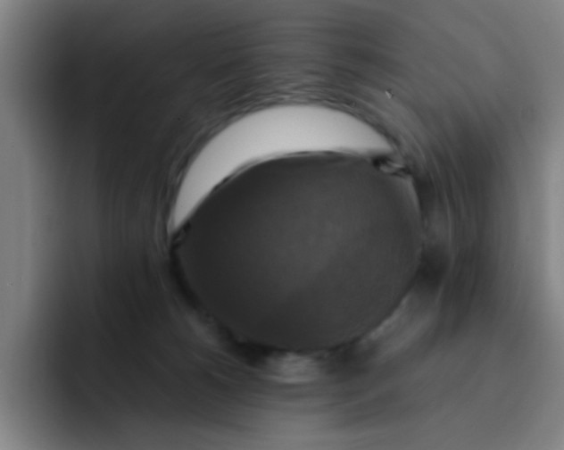 X0000091910180200709261722