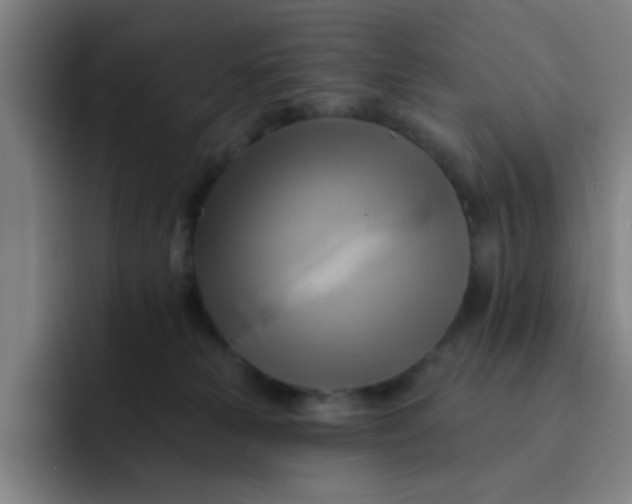 X0000091910181200709261722