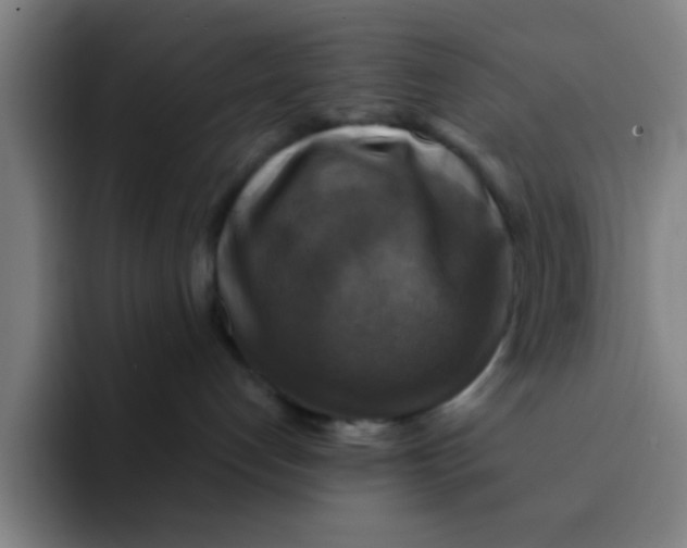 X0000091910192200709261722