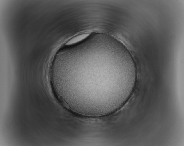 X0000091910193200709261722