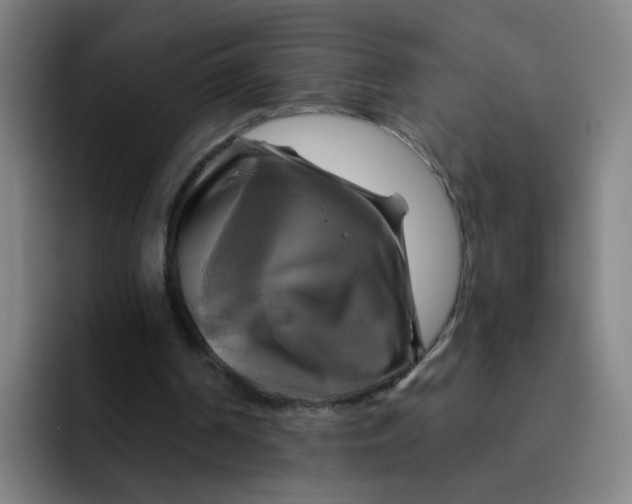 X0000091910194200709261722