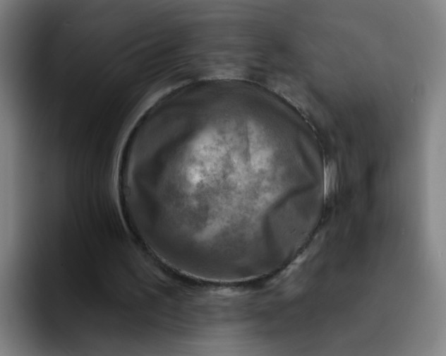 X0000091910195200709261722