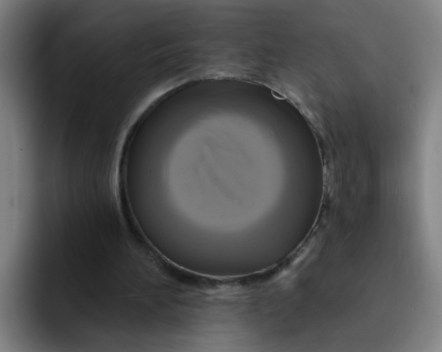 X0000091910196200709261722