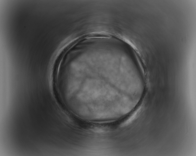 X0000091910199200709261722