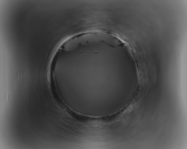 X0000091910200200709261722