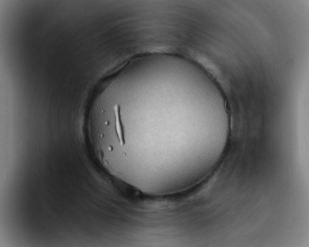 X0000091910201200709261722