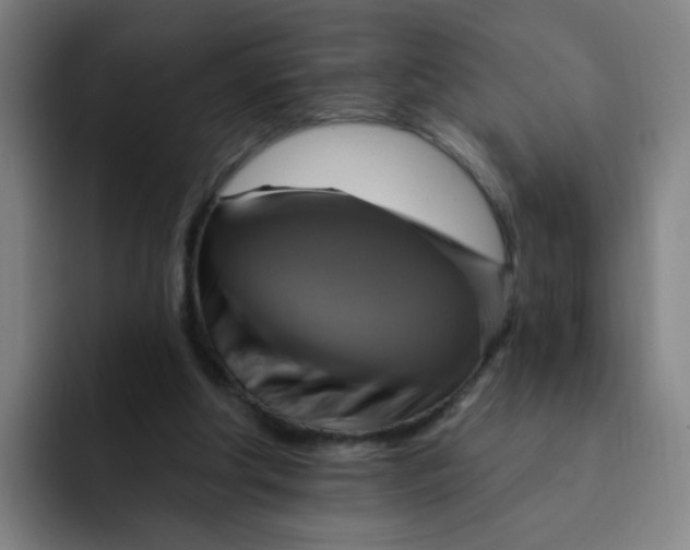 X0000091910202200709261722