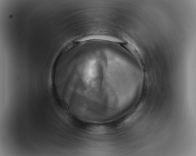 X0000091910203200709261722