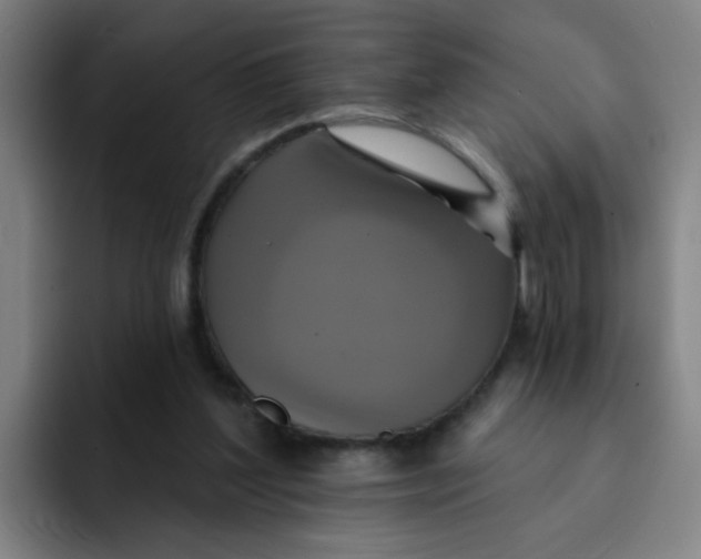 X0000091910204200709261722