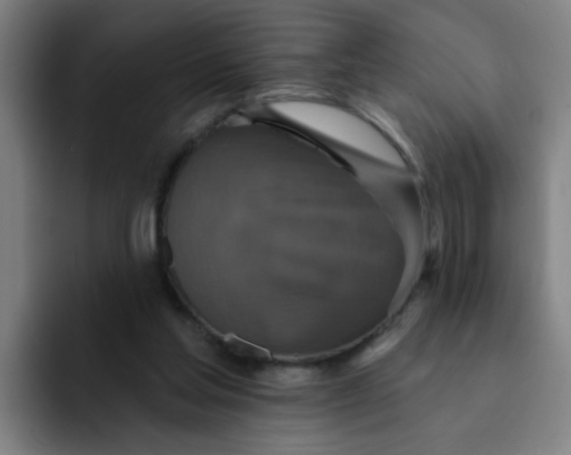 X0000091910205200709261722