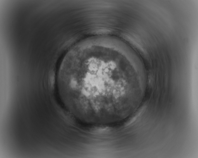 X0000091910206200709261722