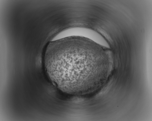 X0000091910207200709261722