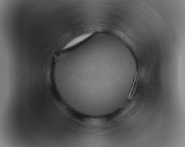 X0000091910209200709261722