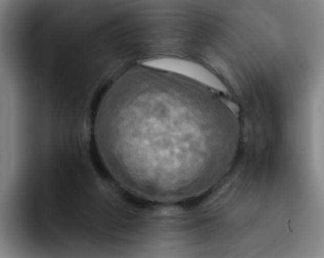 X0000091910210200709261722